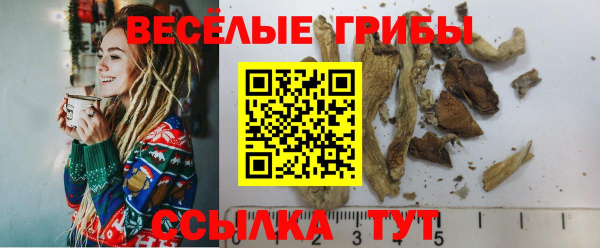 Углич  Галлюциногенные грибы прущие грибы  Вход с VPN  цена   Галлюциногенные грибы GOLDEN TEACHER 